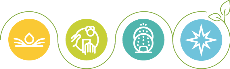 Masschef limpieza profesional de cocinas