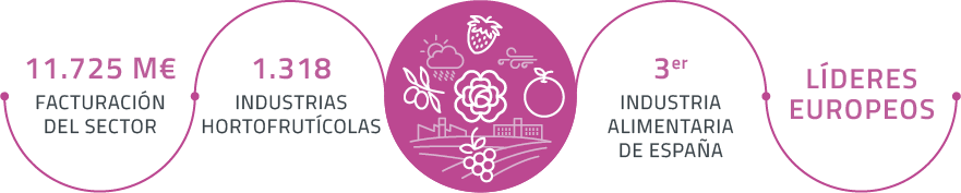 Massfood datos frutas y hortalizas