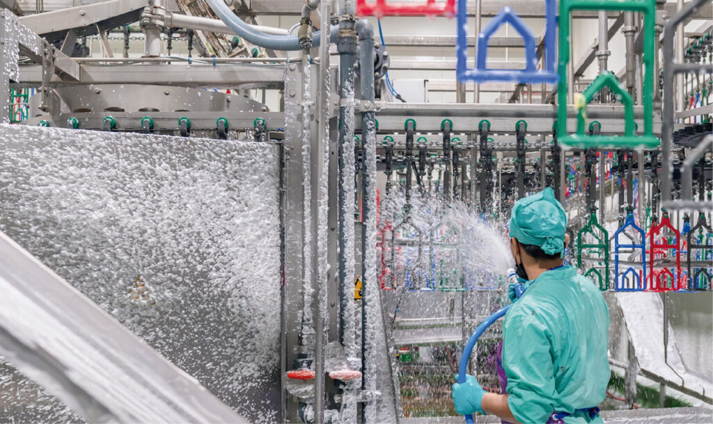 Massfood industria cárnica