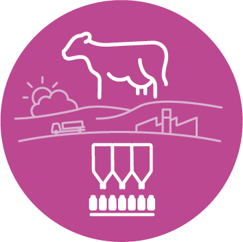 Massfood industria láctea